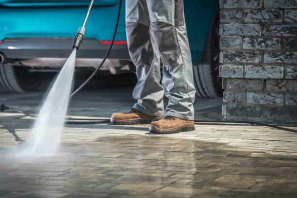 Professional Pressure Washing in Palmview, TX