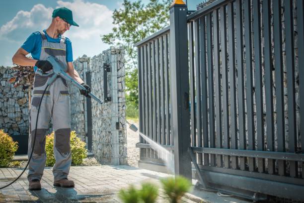 Best Solar Panel Cleaning  in Palmview, TX