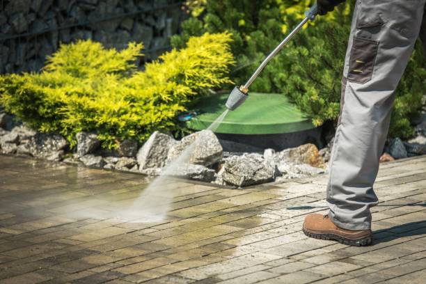 Best Winterizing Services  in Palmview, TX
