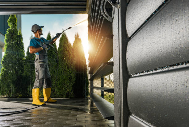 Best Driveway Pressure Washing  in Palmview, TX